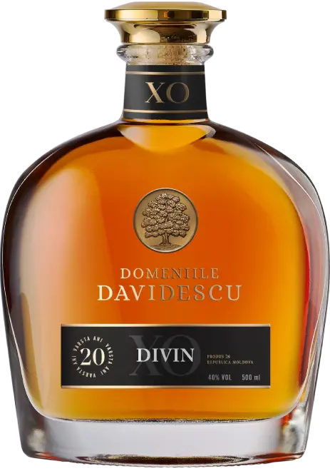 divin-20ani