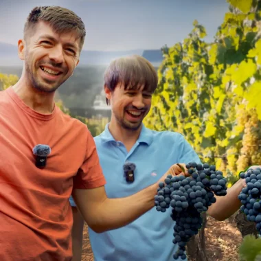 Sauvignon Blanc & Chardonnay