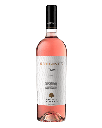 Sorginte
